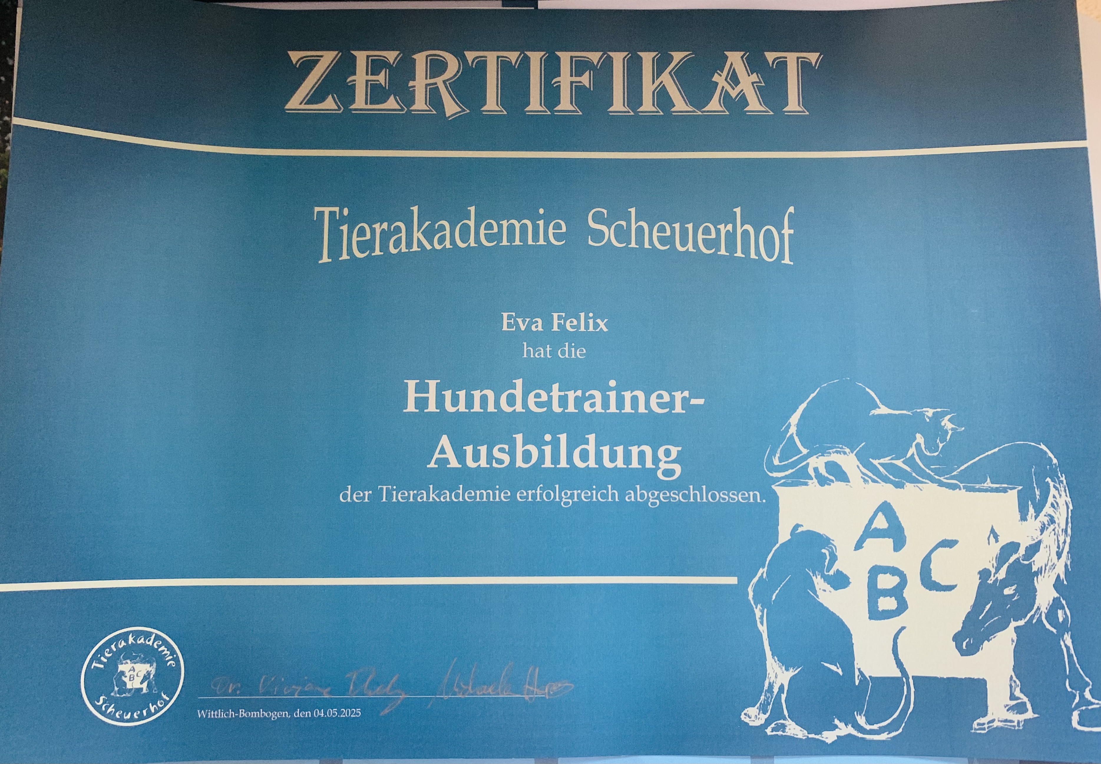 Zertifikat – Hundetrainer‑Ausbildung